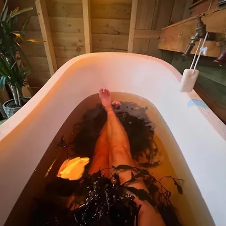 The Bee Pods Vakantiehuis *