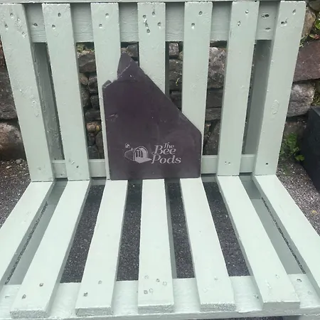 The Bee Pods * Rossnowlagh