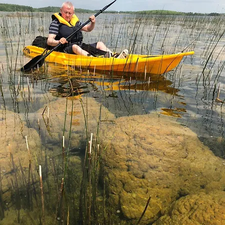 The Bee Pods Rossnowlagh