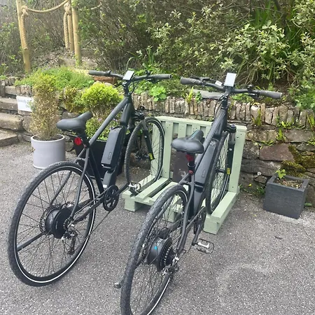 The Bee Pods Casa vacanze *