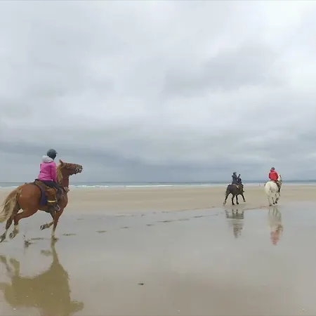 בית נופש The Bee Pods *