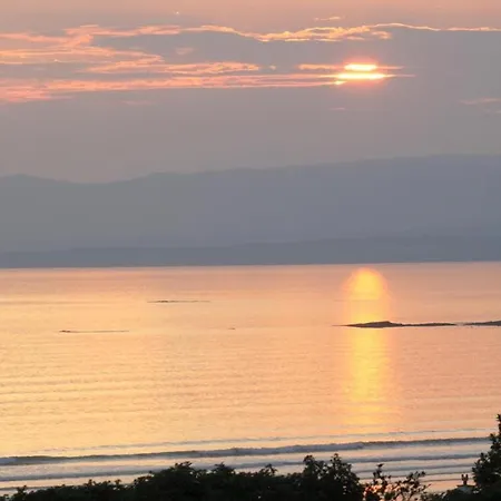 The Bee Pods * רוסנאולה