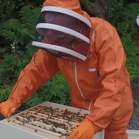 Casa vacanze The Bee Pods