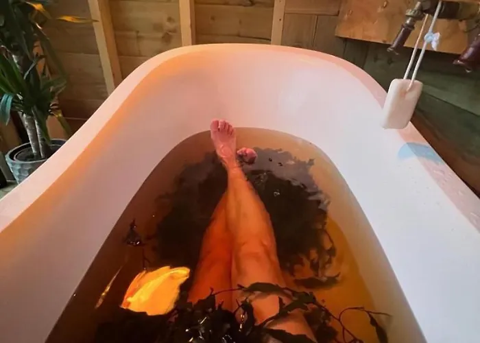 The Bee Pods Semesterbostad *