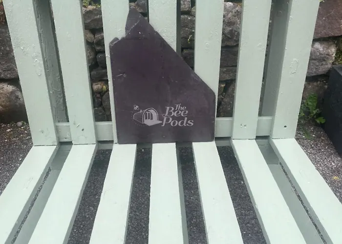 The Bee Pods * Rossnowlagh