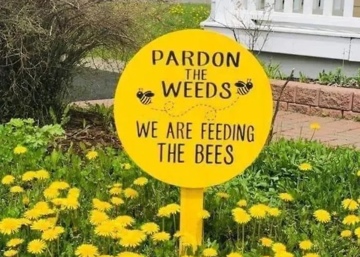 The Bee Pods *