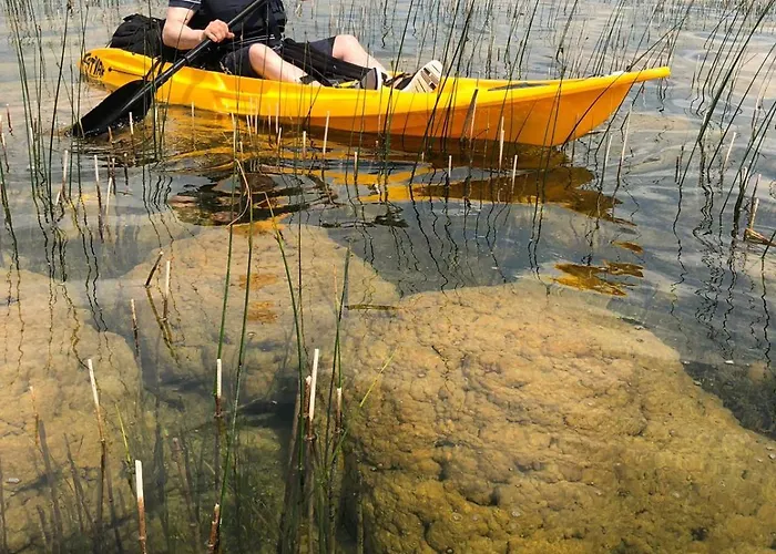 The Bee Pods Rossnowlagh
