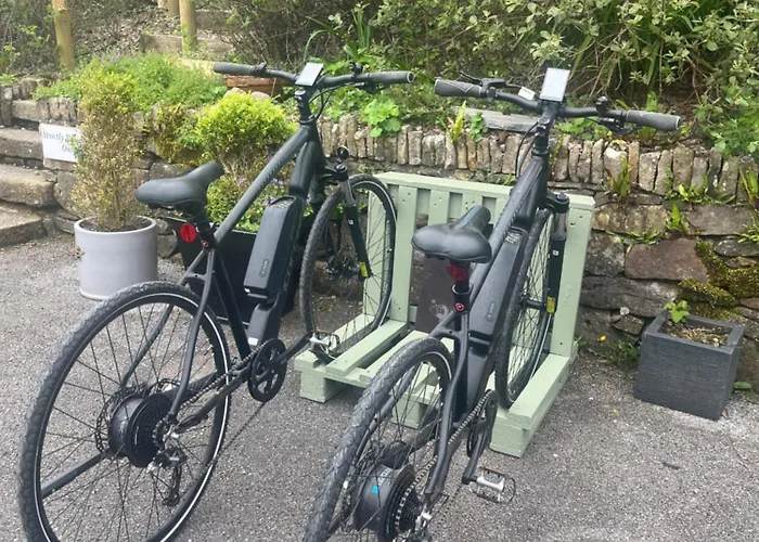 The Bee Pods Holiday home *