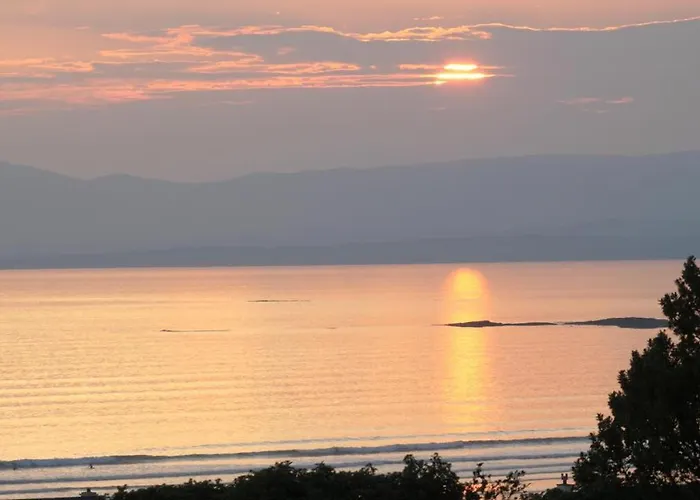 The Bee Pods * Rossnowlagh