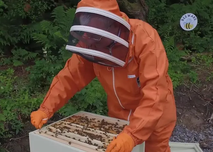 Semesterbostad The Bee Pods